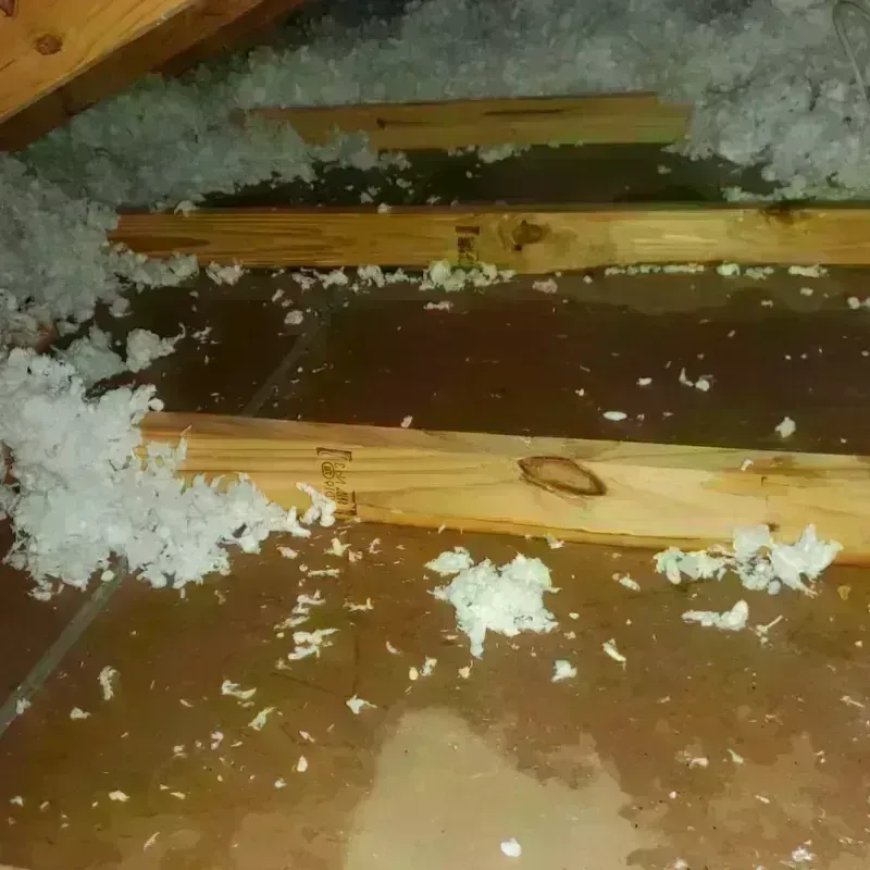 Attic Water Damage in Farwell, TX